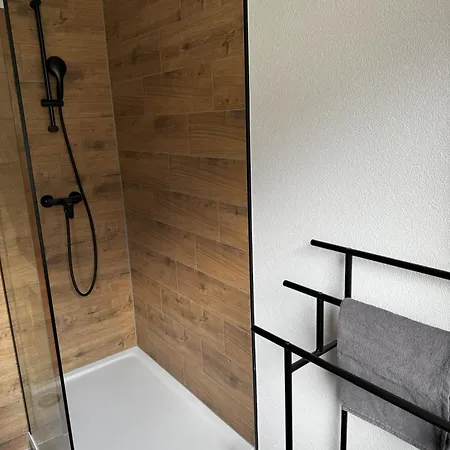 Schwarzwald Style Dreiwelten Card Inkl Freier Eintritt Solemar Ruhige Mit 85 Qm Zentral Parkanlage Stellplatz Apartament
