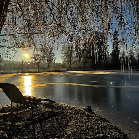 Schwarzwald Style Appartement